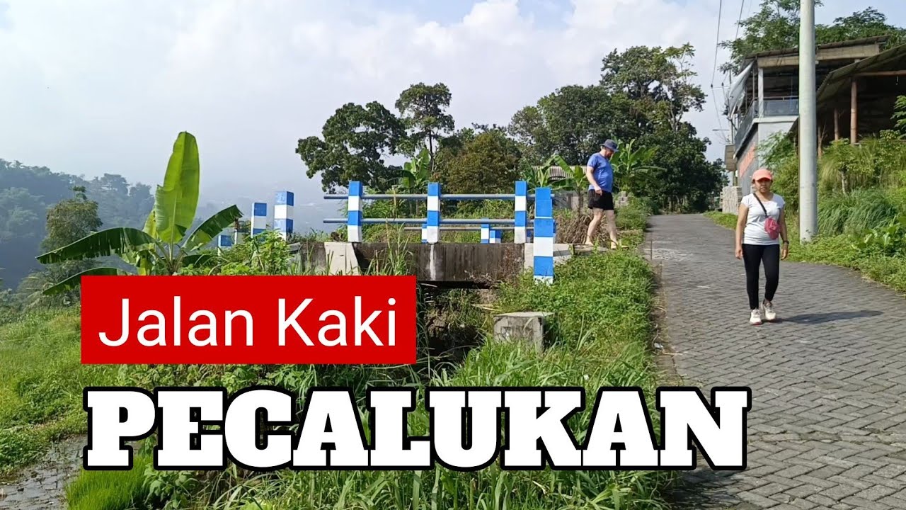 Jalan Kaki Ke Pecalukan 