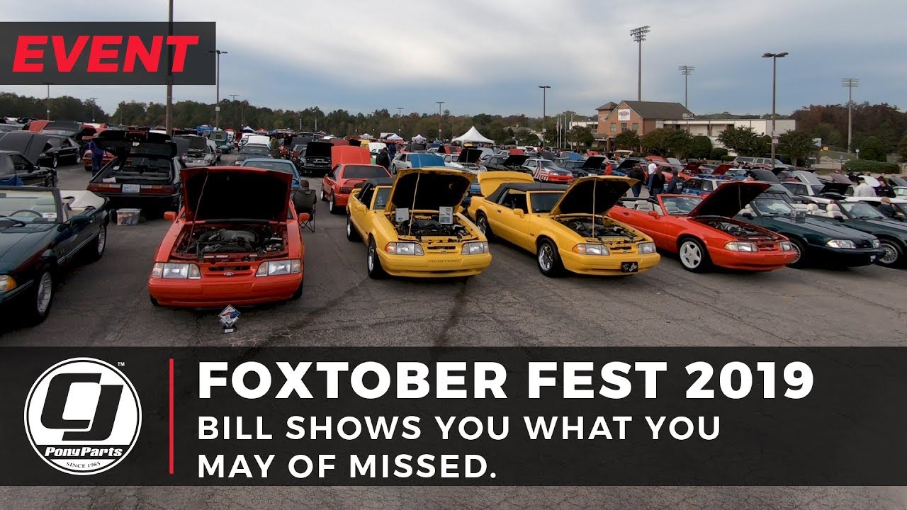 Complete Recap 🦊 | FoxtoberFest 2019