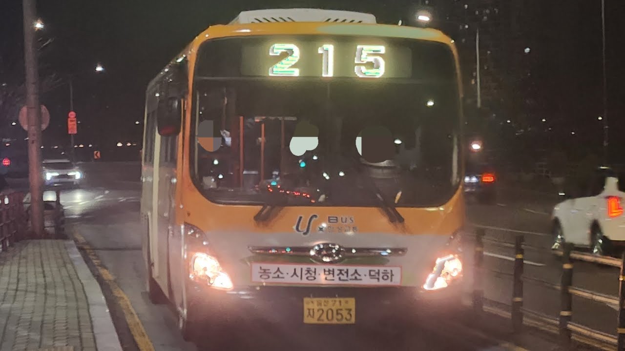[고별주행]울산215번(태화루사거리~신정시장)까지주행영상