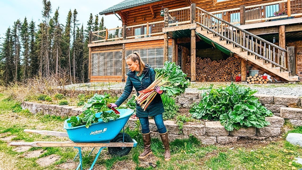 Trying New Things! + Our Alaskan Wood Shed Build Continues...