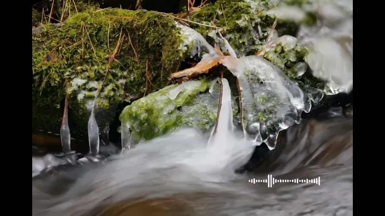 [ASMR] 가슴이 뻥 뚫리는 계곡의 소리 | 수면, 명상, 마음 치유  ✨🌲