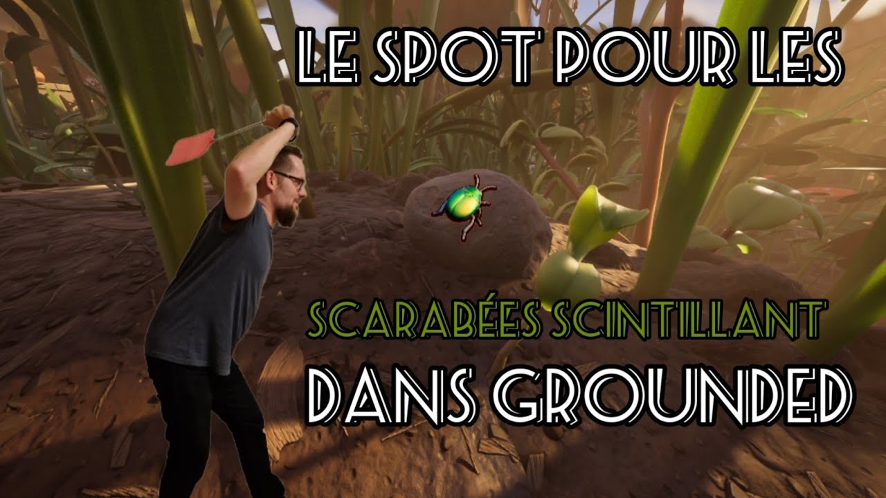 [1.0] Tuto Grounded : spot pour les scarab&eacute;e scintillant