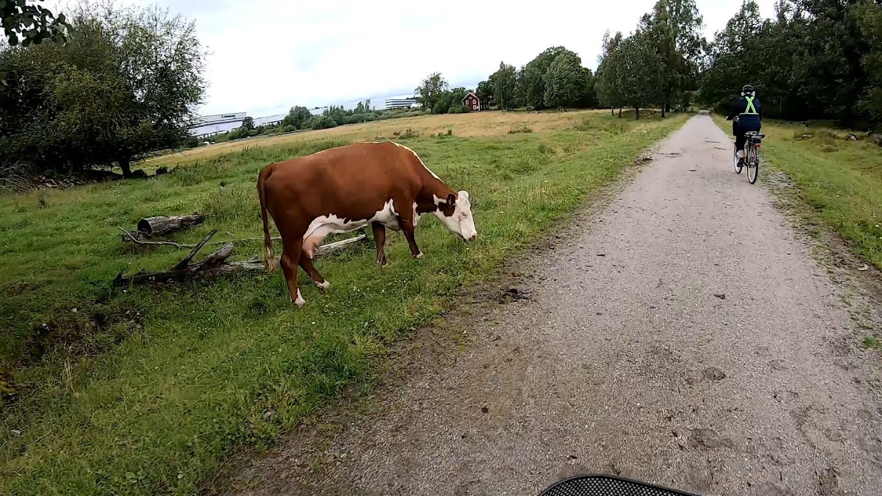 Cykeltur Hemfjärden Runt 2024-07-14