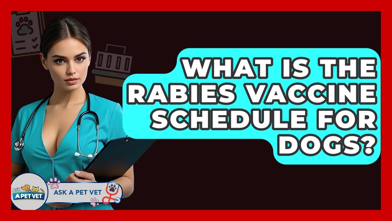 What Is The Rabies Vaccine Schedule For Dogs? - Ask A Pet Vet