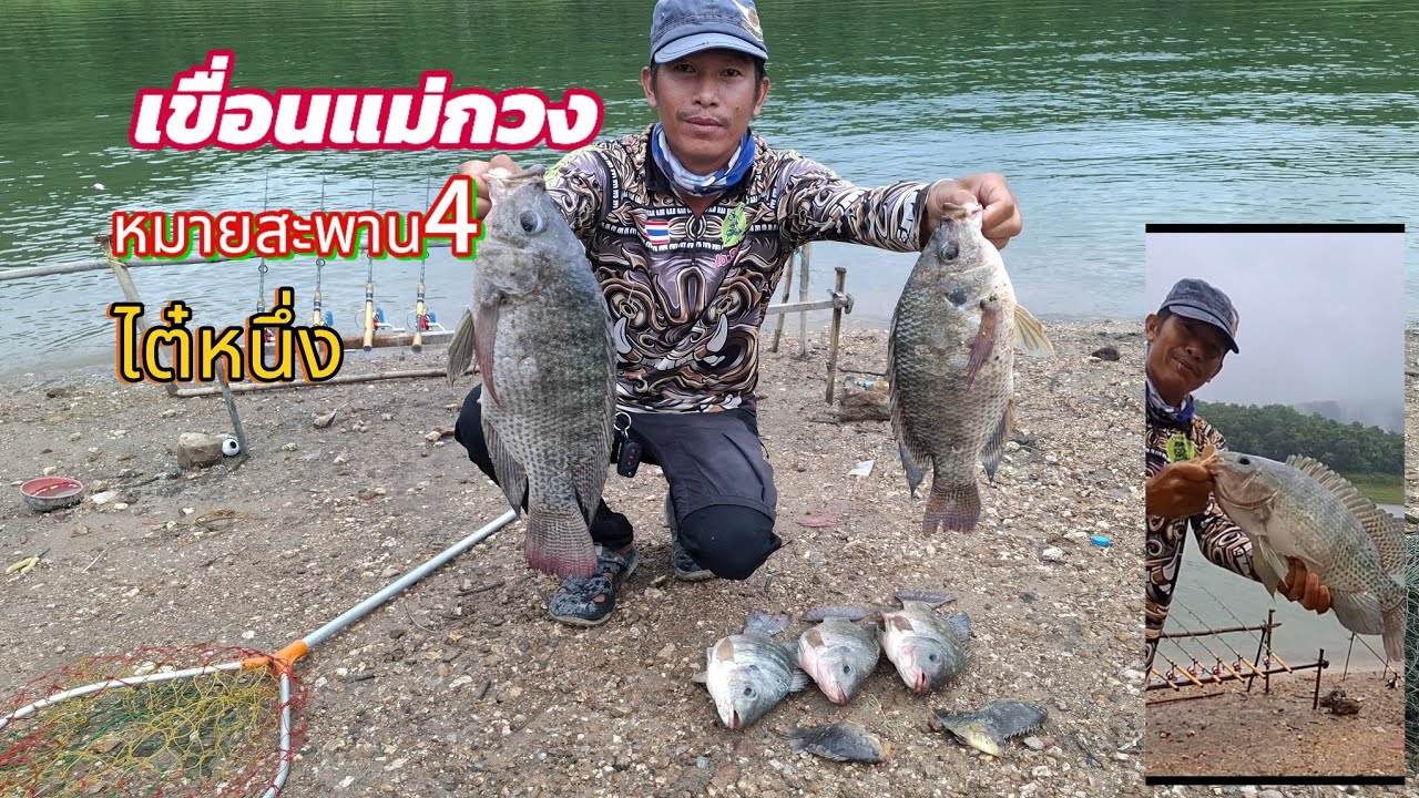 📌ตกปลาเขื่อนแม่กวง 🐟หมายสะพาน4#ตกปลา #fishing #ตกปลาหน้าดิน #fish