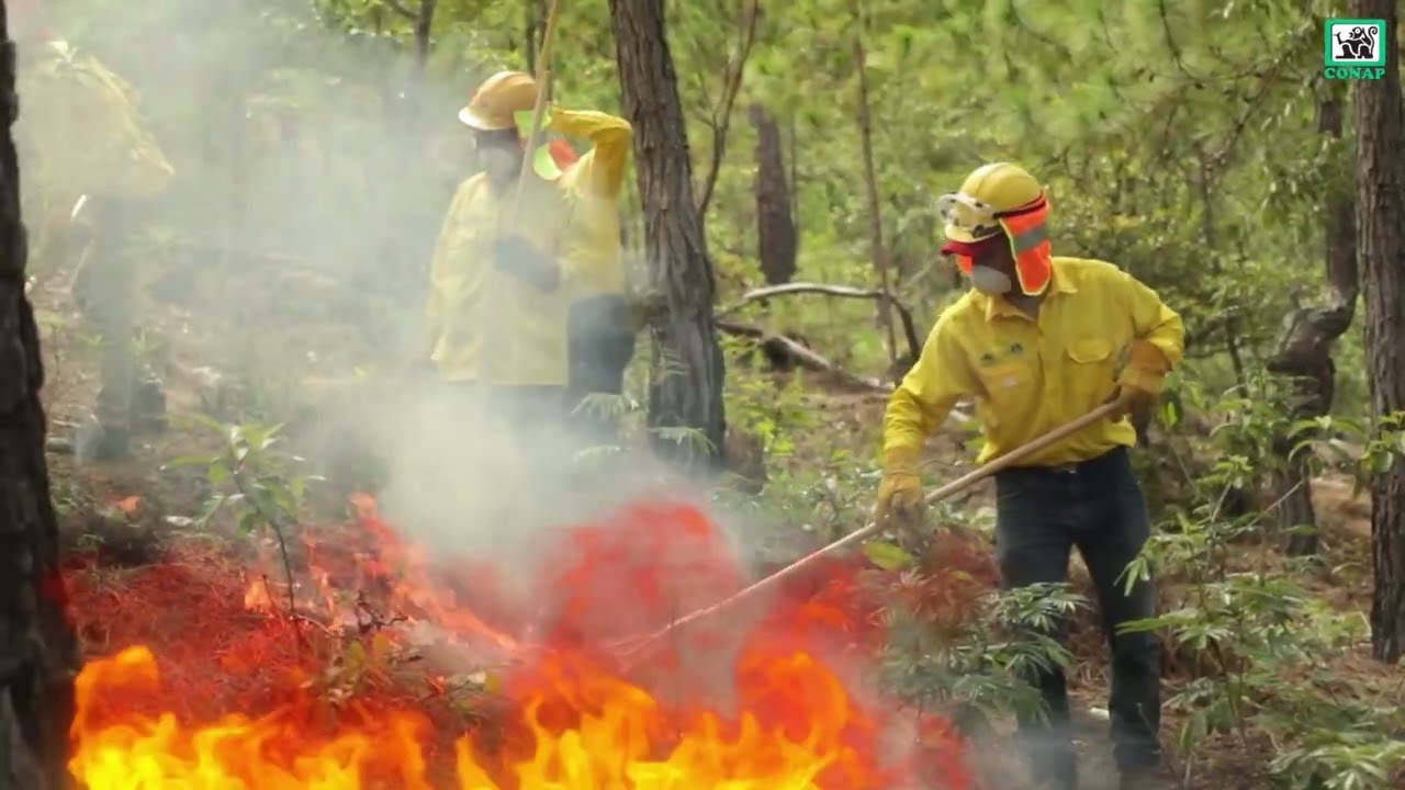 𝐀𝐥𝐢𝐚𝐧𝐳𝐚 𝐍𝐚𝐜𝐢𝐨𝐧𝐚𝐥 𝐩𝐚𝐫𝐚 𝐥𝐚 𝐏𝐫𝐨𝐭𝐞𝐜𝐜𝐢𝐨́𝐧 𝐲 𝐑𝐞𝐬𝐭𝐚𝐮𝐫𝐚𝐜𝐢𝐨́𝐧 𝐝𝐞𝐥 𝐏𝐚𝐭𝐫𝐢𝐦𝐨𝐧𝐢𝐨 𝐍𝐚𝐭𝐮𝐫𝐚𝐥 𝐲 𝐂𝐮𝐥𝐭𝐮𝐫𝐚𝐥 𝐝𝐞 𝐆𝐮𝐚𝐭𝐞𝐦𝐚𝐥𝐚