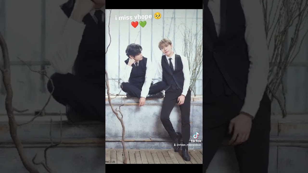 Who misses vhope? 🥺❤️💚 #vhope #vope #bts #v #jhope