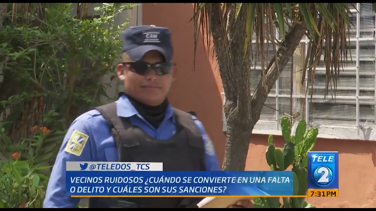 Vecinos ruidosos