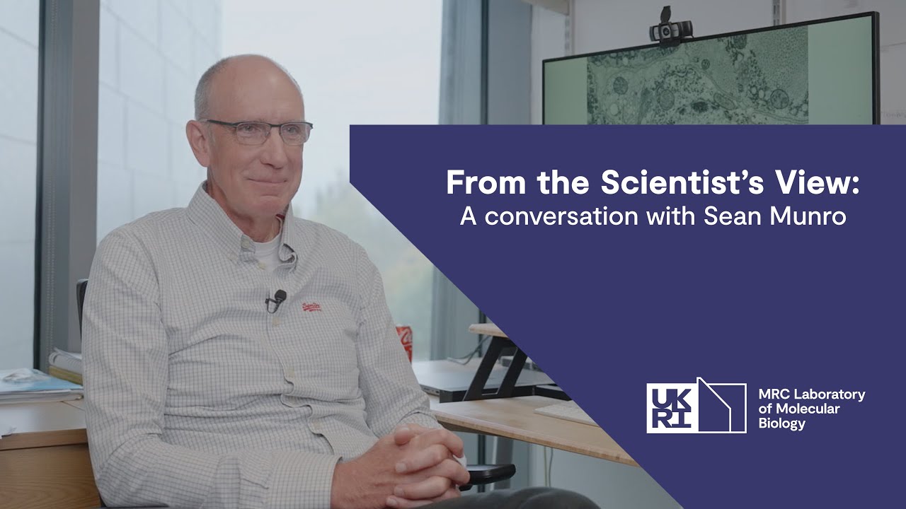 From the scientist's view: a conversation with Sean Munro