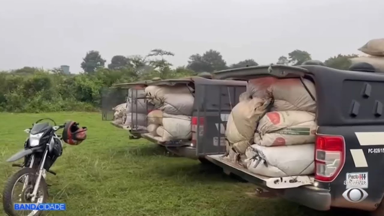 Polícia Civil apreende cerca de duas toneladas de maconha e prende três pessoas em Grajaú MA.