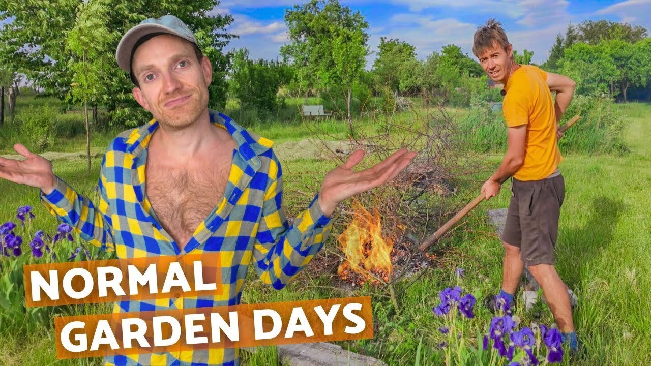 What is happening in our garden? | Life on a small farm in Central Europe