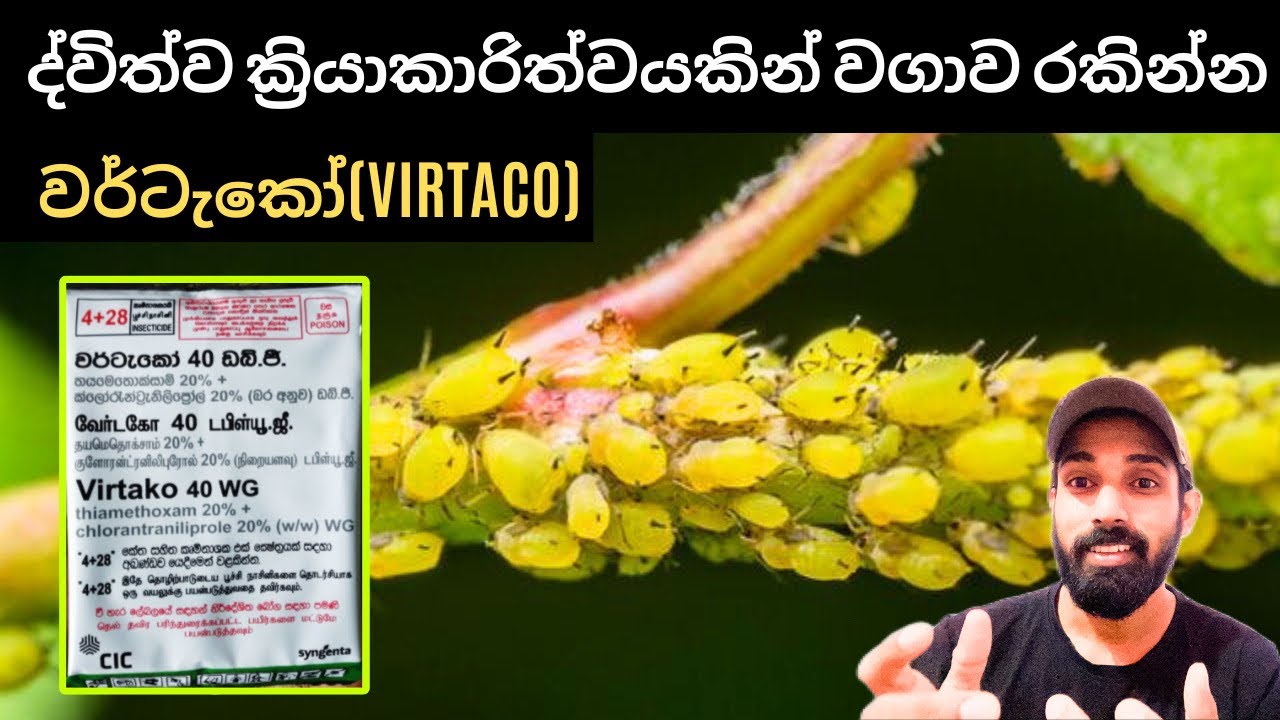 05. වගාවේ විද යුෂ උරාබොන හා සපා කන කෘමීන්ගේ ස්නායු පද්ධතියට හා මාංශ පේශි වලට බලපෑම් කරන වර්ටැකෝ .