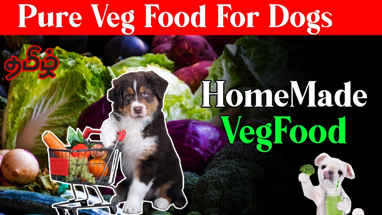 HomeMade Veg Food For Dogs in Tamil