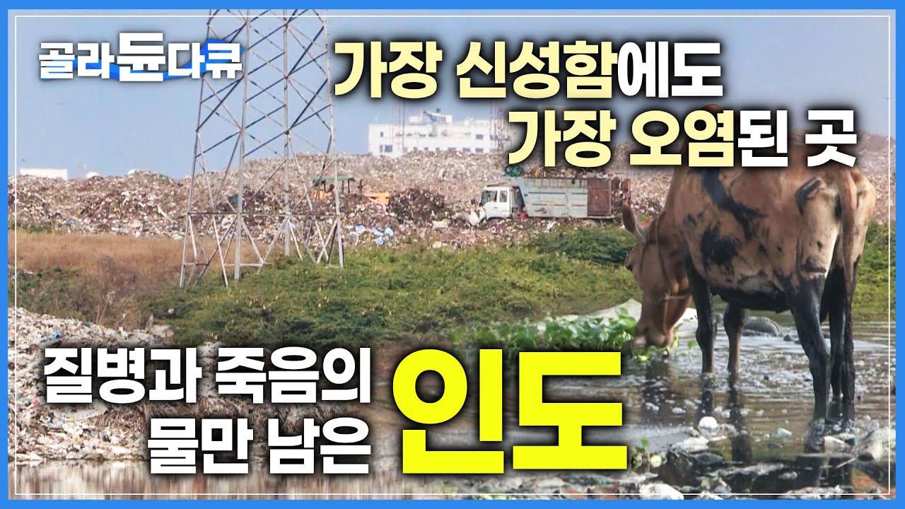 가장 성스러운 은 어쩌다 죽음의 강이 되었을까? ｜시신이 떠다니는 오염된 물로 고통받는 인도｜#골라듄다큐 #인도