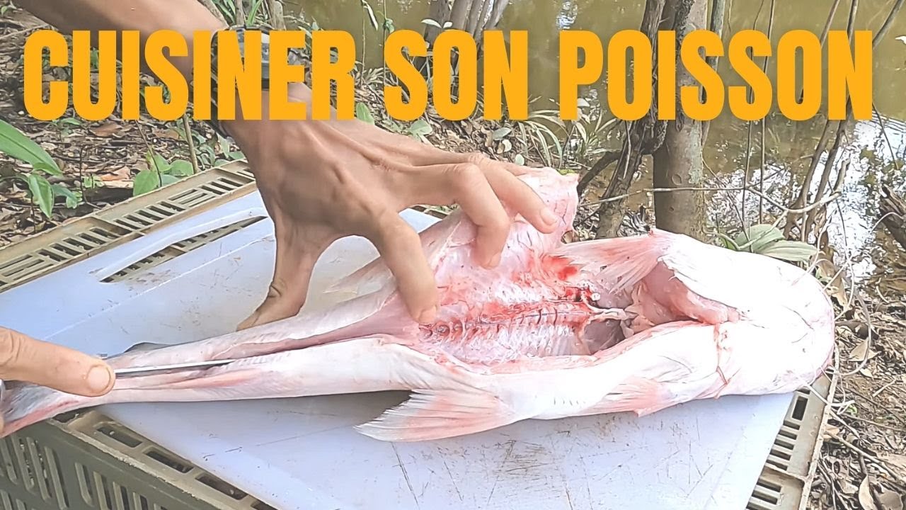 Cuisiner son poisson en forêt - Pêche Guyane - Catch, Clean and Cook