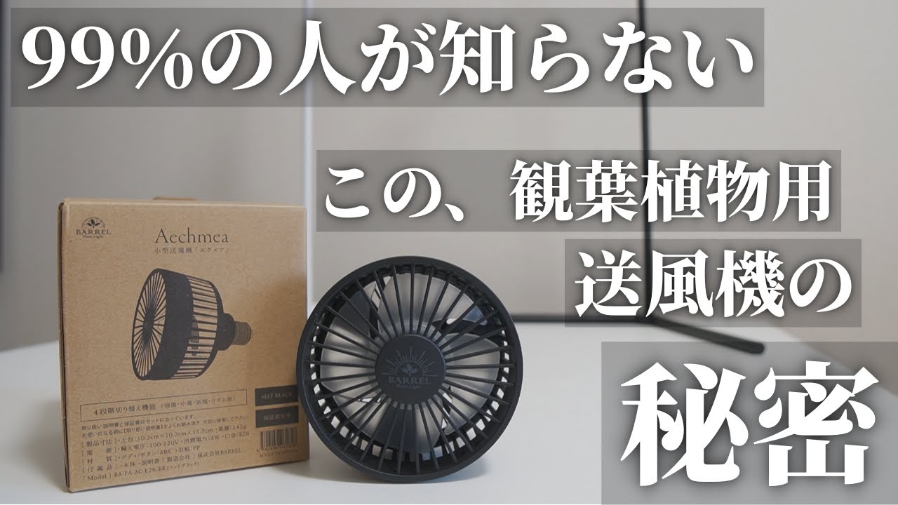 【小型送風機】観葉植物専用の小型サーキュレーターが発売！BARRELバレル「小型送風機 Aechmeaエクメア」アガベ、塊根植物、エアプランツにオススメ！パルダリウムにも使える！植物育成ライトと一緒に