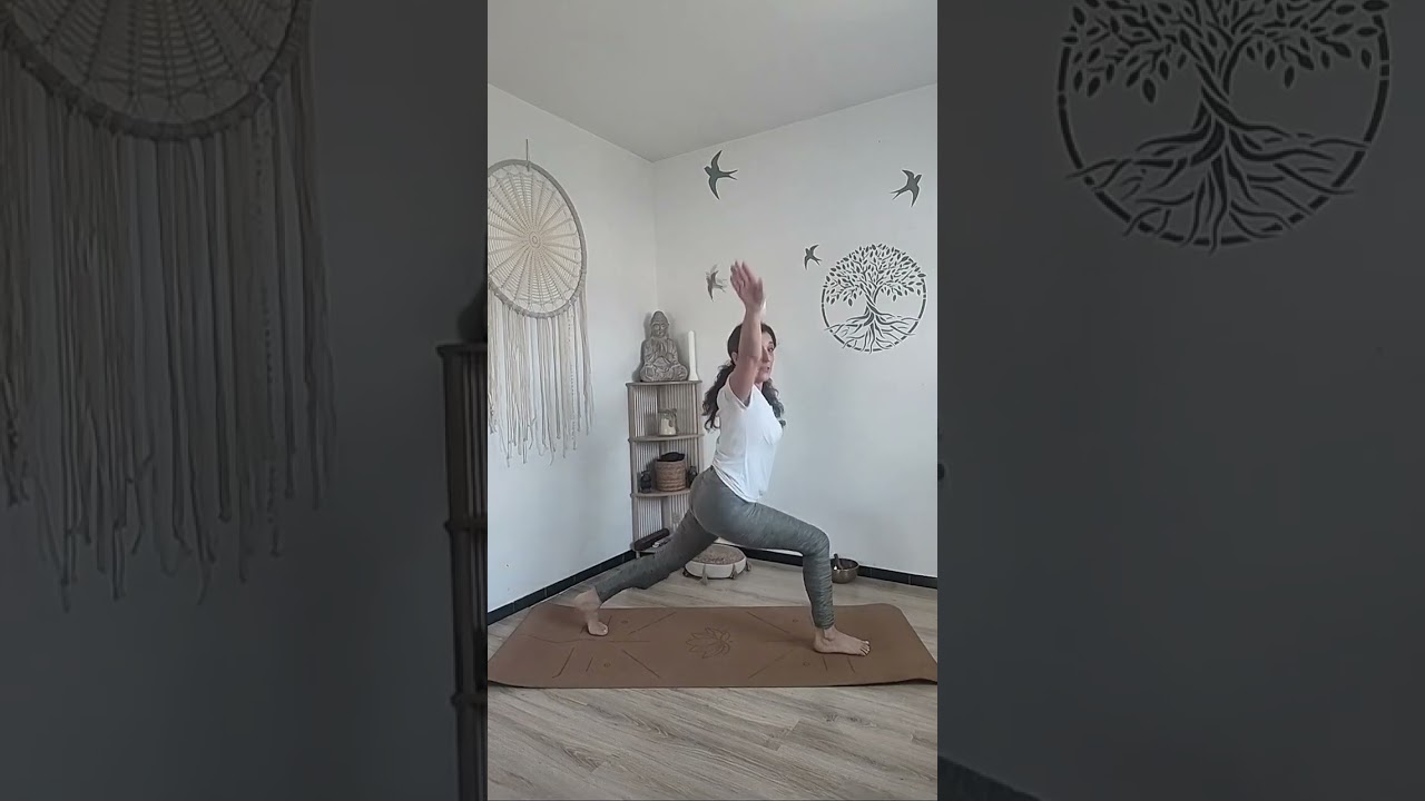 Cours de Hatha Yoga,  intégralité du corps 