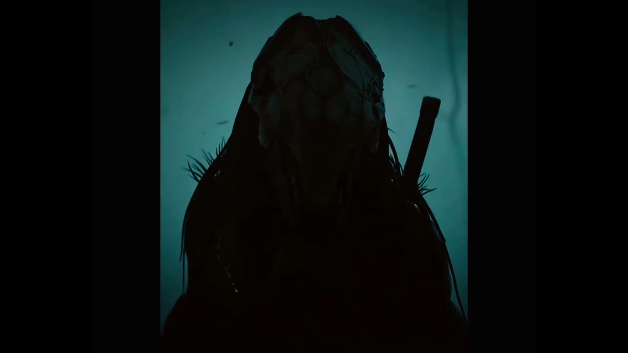 Feral vs jungle hunter predator 