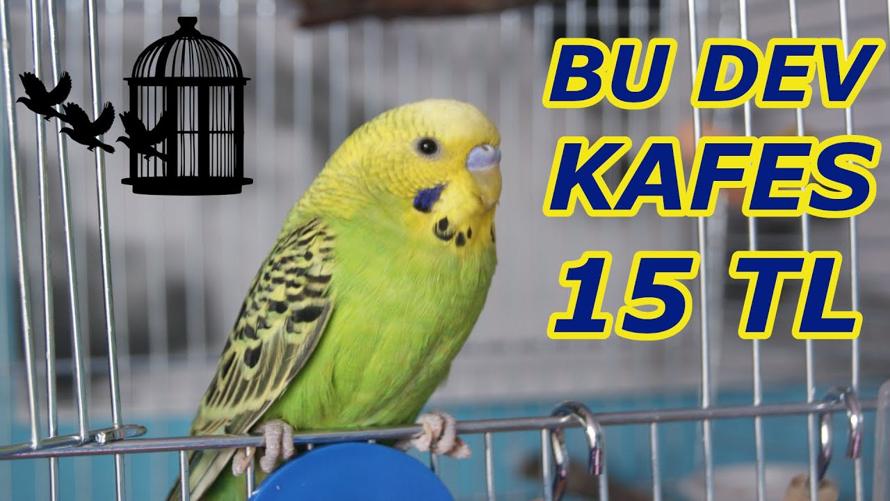 KUŞ KAFESİ YAPIMI 15 TL YE DEV KAFES
