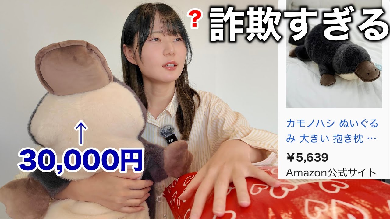 高級ぬいぐるみの偽物がAmazonで売られてたので、買って比較してみたら・・・