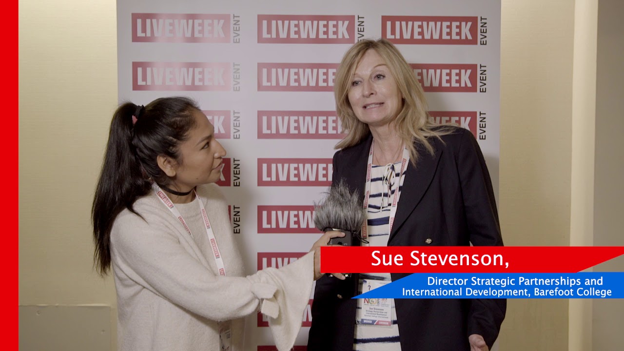 Sue Stevenson at NGO Expo 2017 New York United States