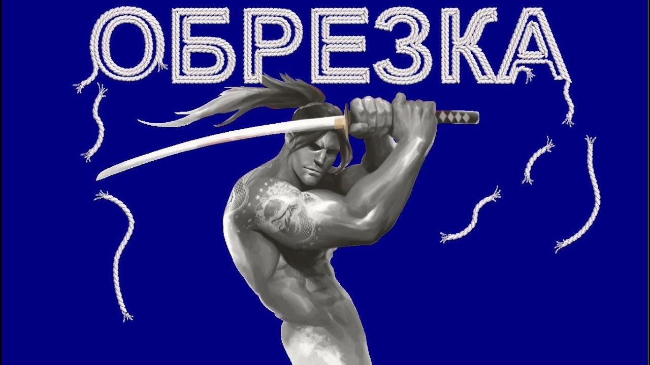 Wilcom. Урок 19. Обрезка и протяжки. Как добавить или удалить в программе.