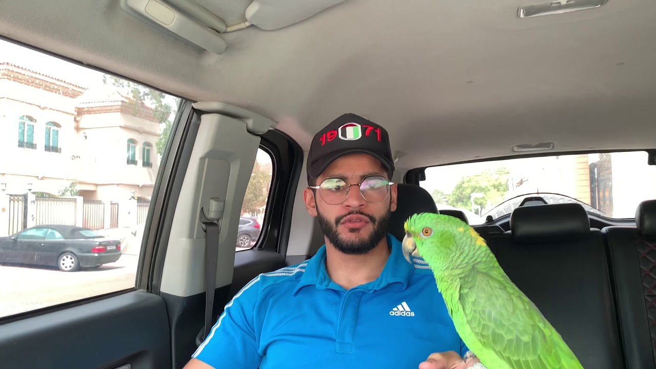 من أفضل الطرق لتعليم اليلوناب الكلام (تجربتي الخاصة😍)