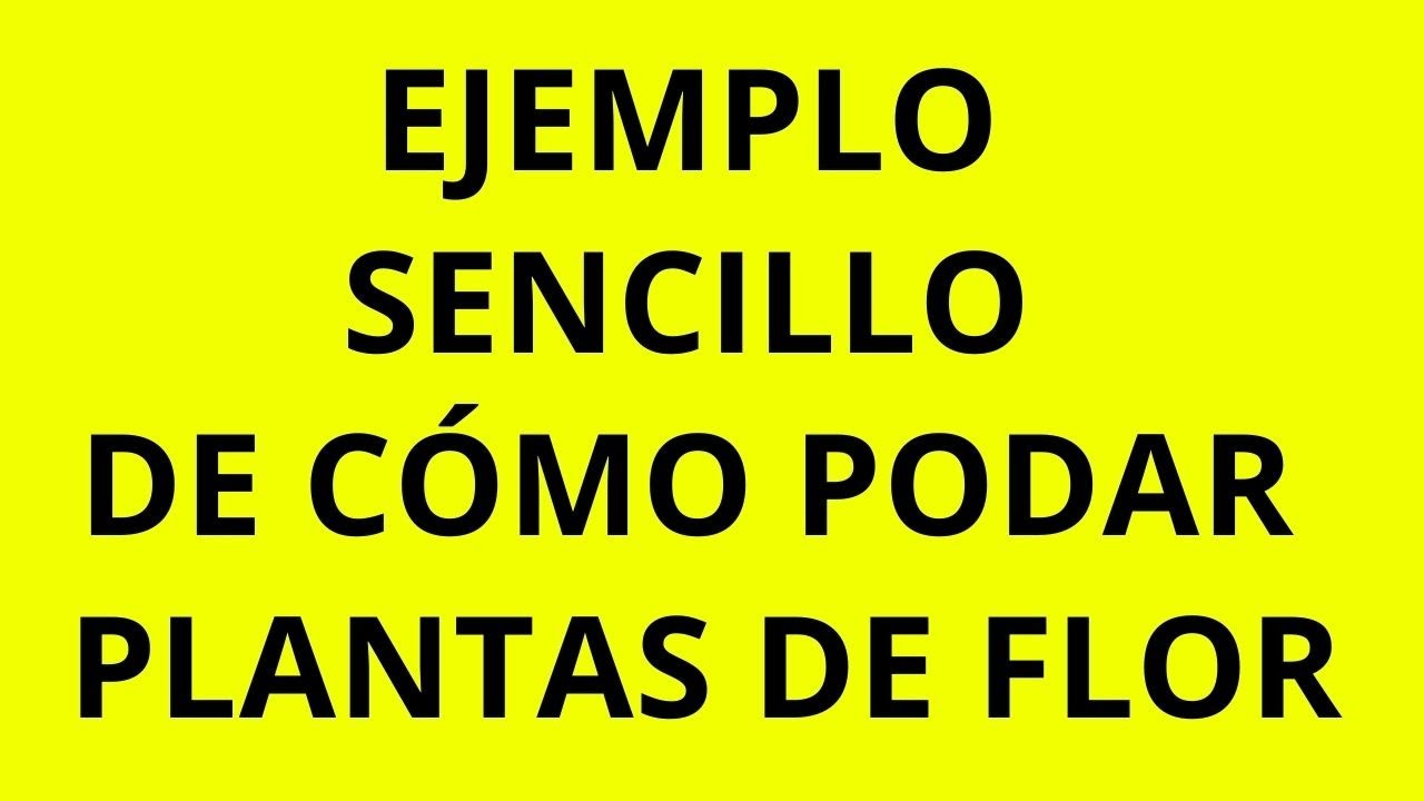 EJEMPLO SENCILLO DE C&Oacute;MO PODAR PLANTAS DE FLOR