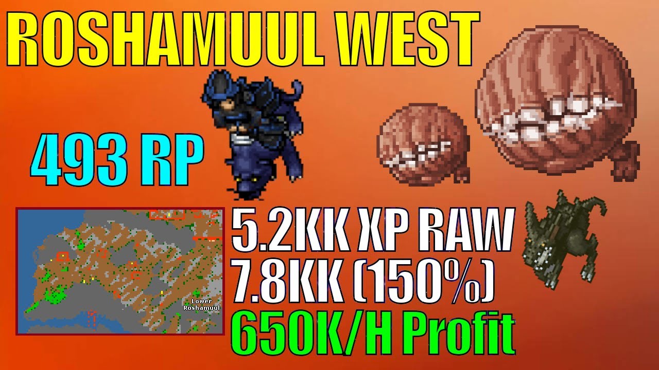 Roshamuul West | 493 RP | 5.2KK RAW XP | 650K/H+ Profit | Tibia Hunts