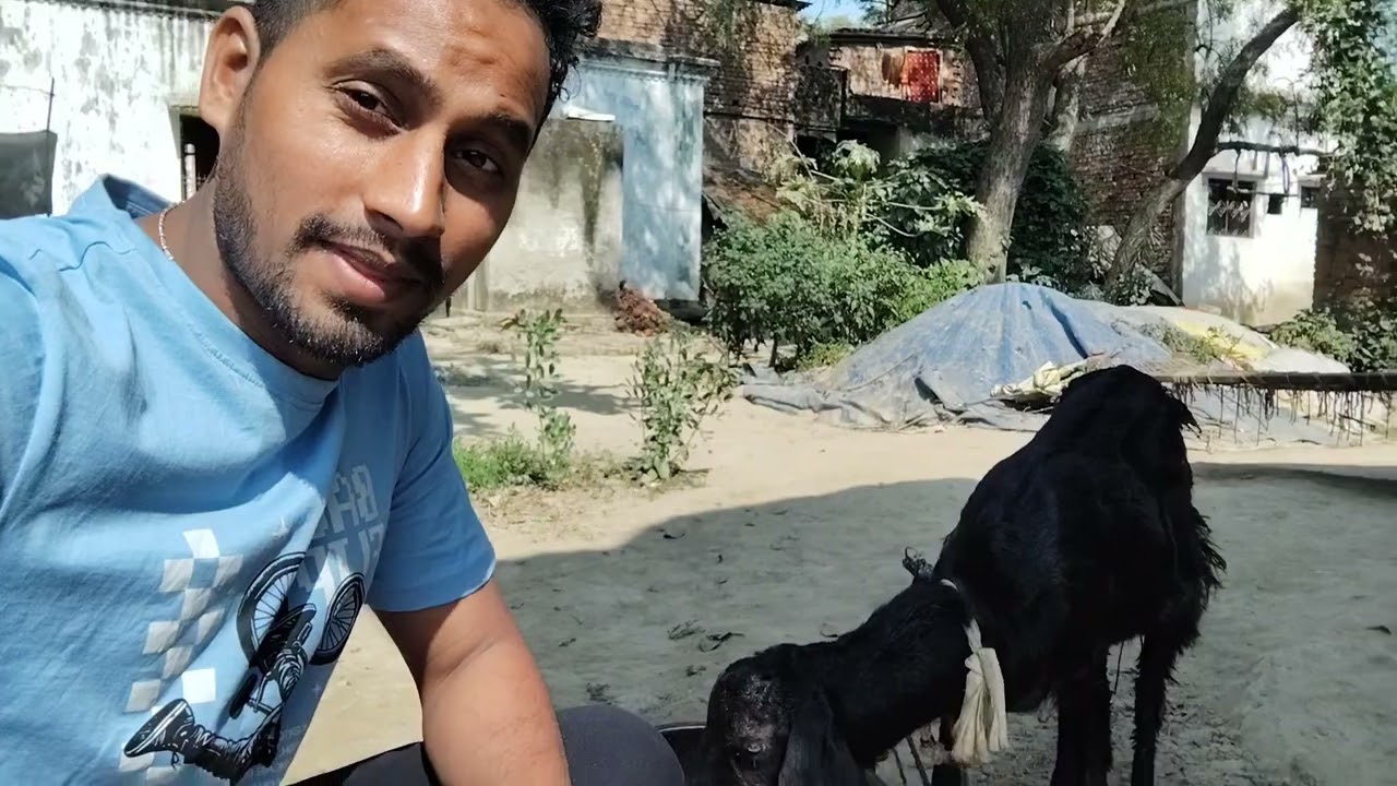 Meri bakri ka new bakra 🤣🤣@YouTube