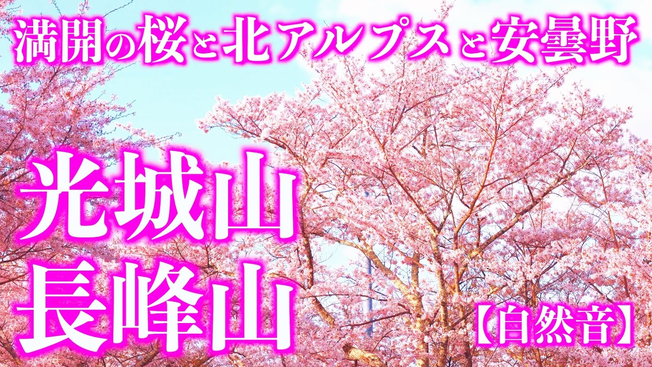 【花見登山】春の光城山･長峰山｜満開の桜の道から望む北アルプスと安曇野(自然音)＜Japan in 4K／Nature Sound＞