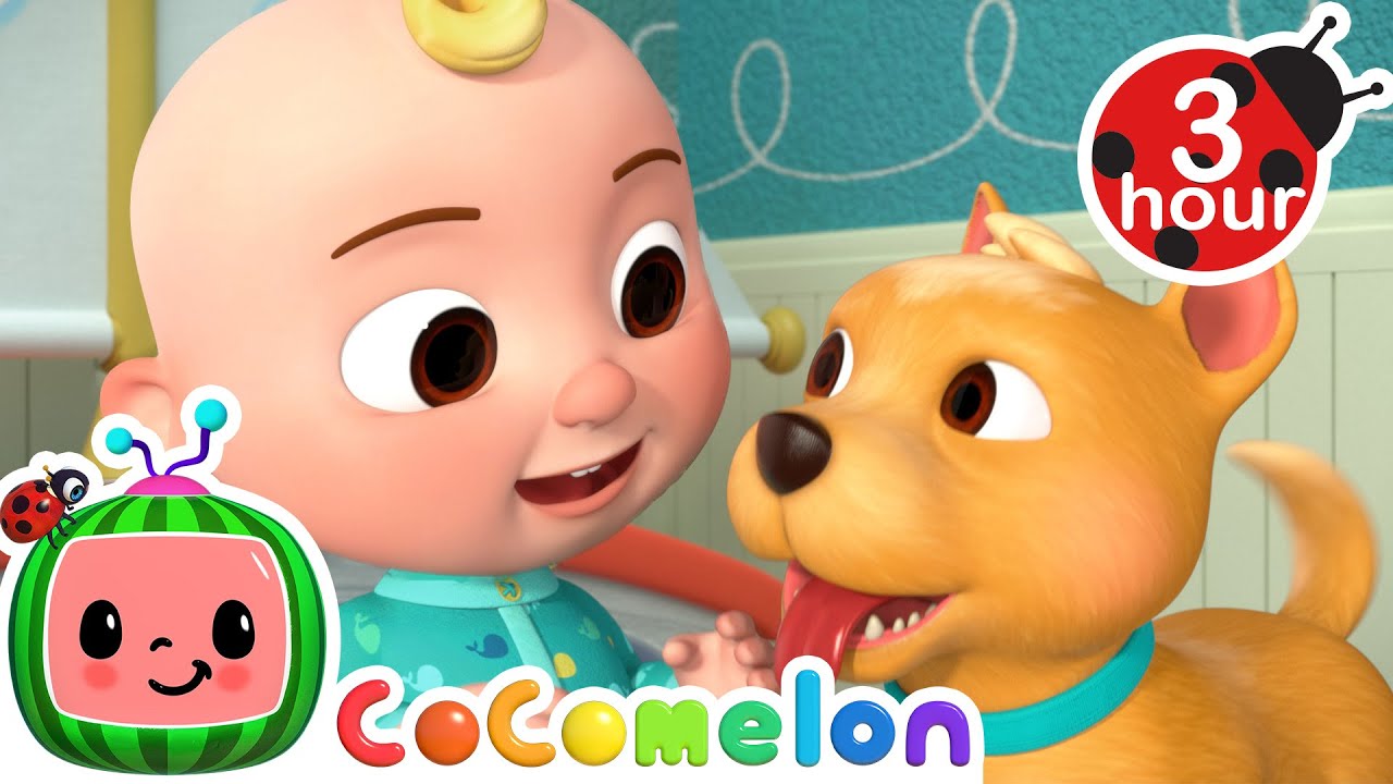 Wake Up The House, Bingo! 🐶 CoComelon Nursery Rhymes and Kids Songs | 3 HOURS | After School Club