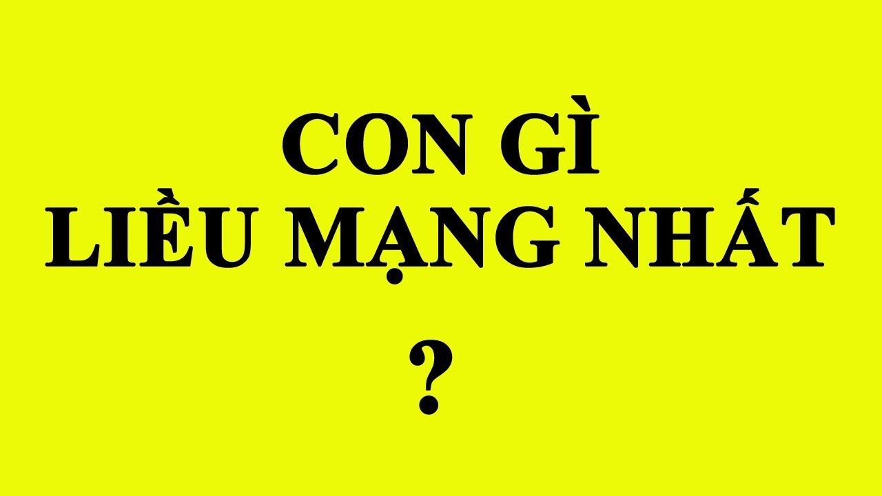 Những câu đố mẹo hay ngắn hack não- Phần 2