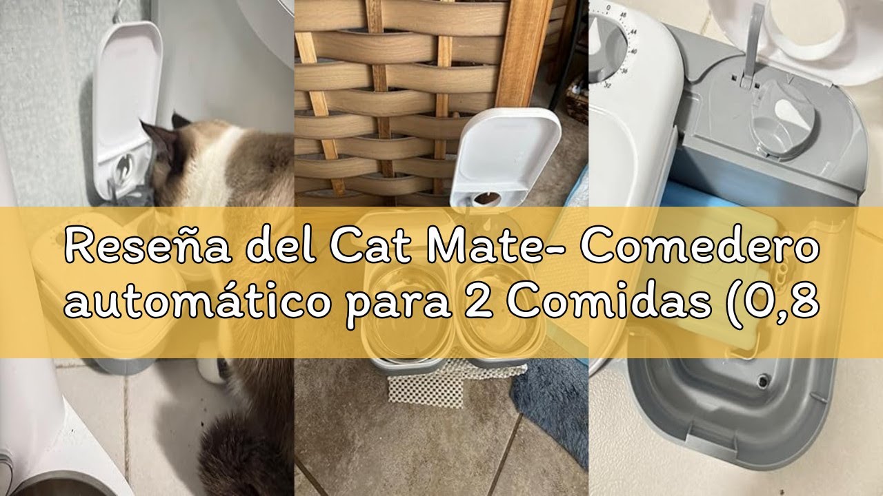 Reseña del Cat Mate- Comedero automático para 2 Comidas (0,825 kg)