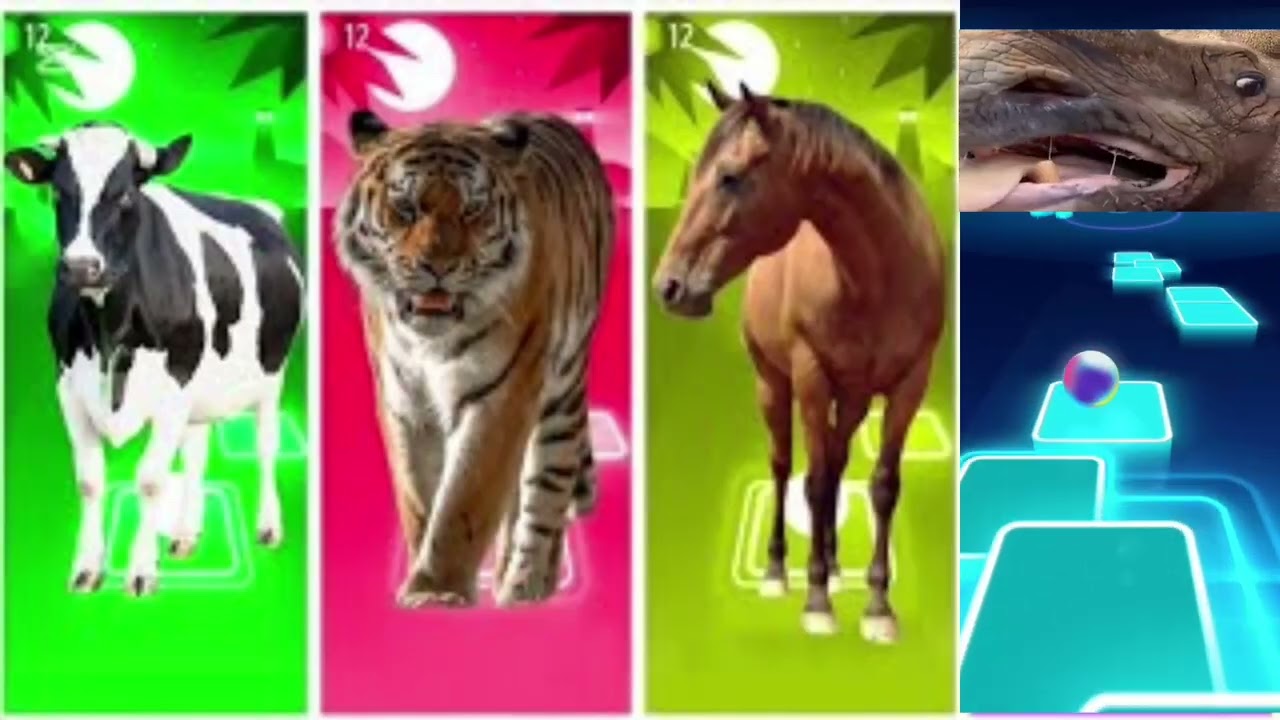 Funny Cow🐃🆚Funny Sheep🐑🆚Funny Ferdinand🐃🆚Funny Horse🐎