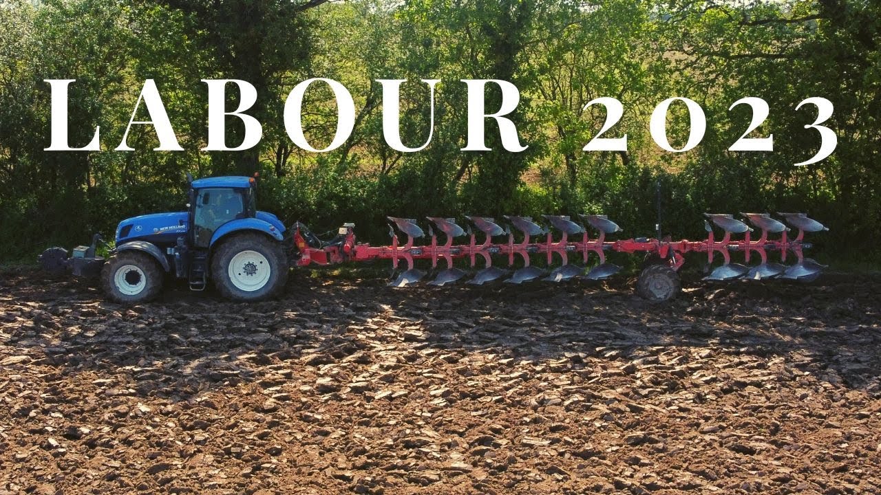 Labour 2023 en 9 corps