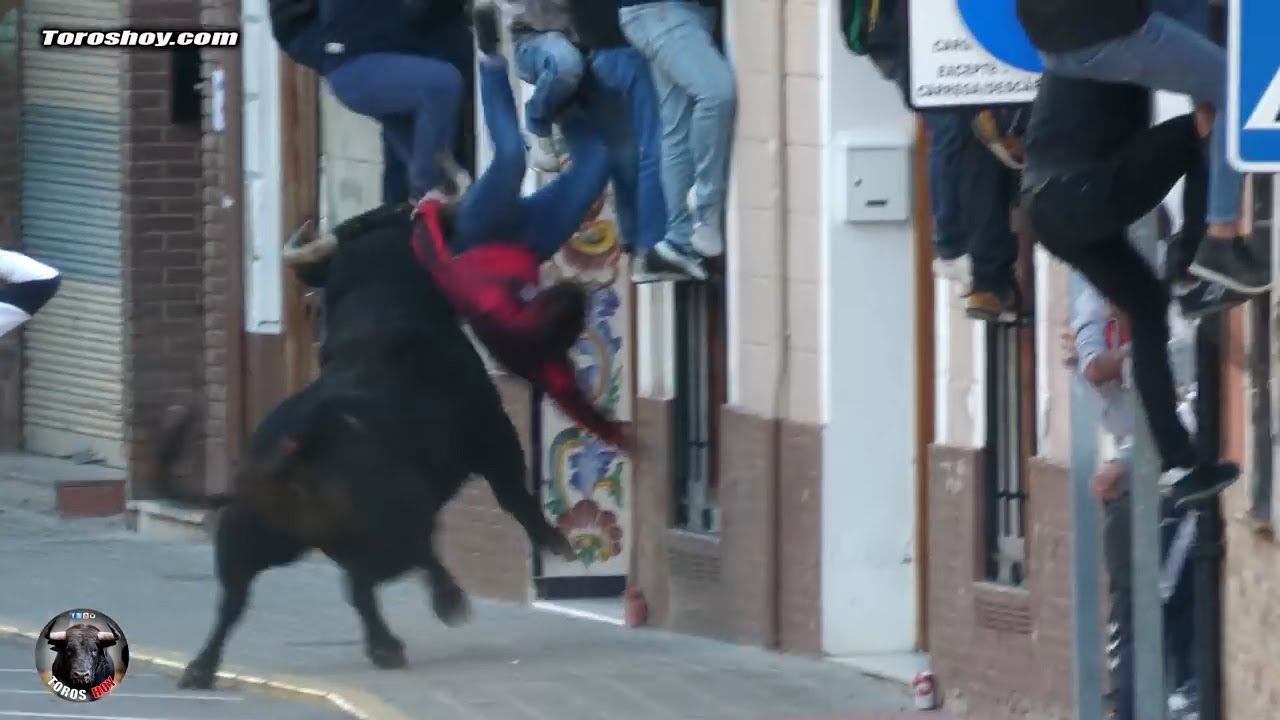 😱😱✅ TOROS ESPECTACULARES MELIANA PEÑA TAURINA 1977 2021 ❤️ toros tv