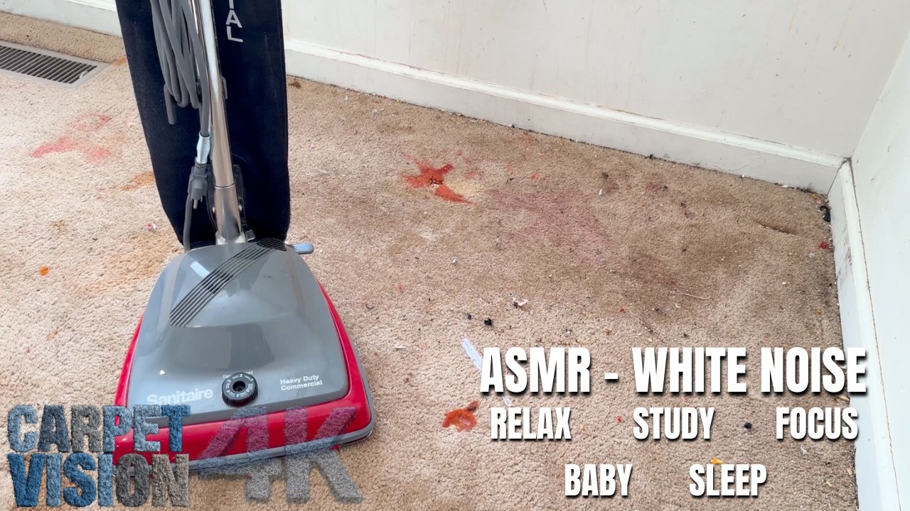 ASMR Carpet Cleaning | This That Cobra Kai Carpet (Sleep Now)
