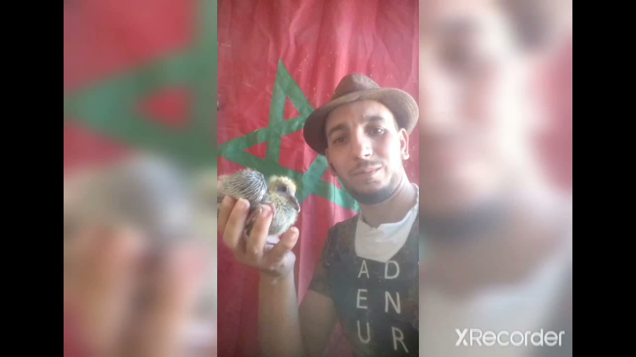 حلقة 3 مع الاستاذ محمد الدرزاز.  بكل صراحة يستحق كل تقدير في مجال التسيير