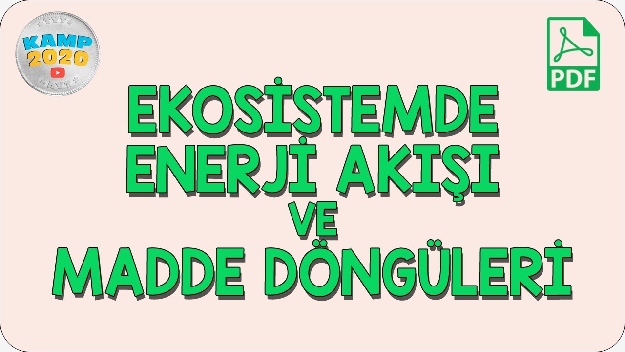 Ekosistemde Enerji Akışı ve Madde Döngüleri | Kamp2020
