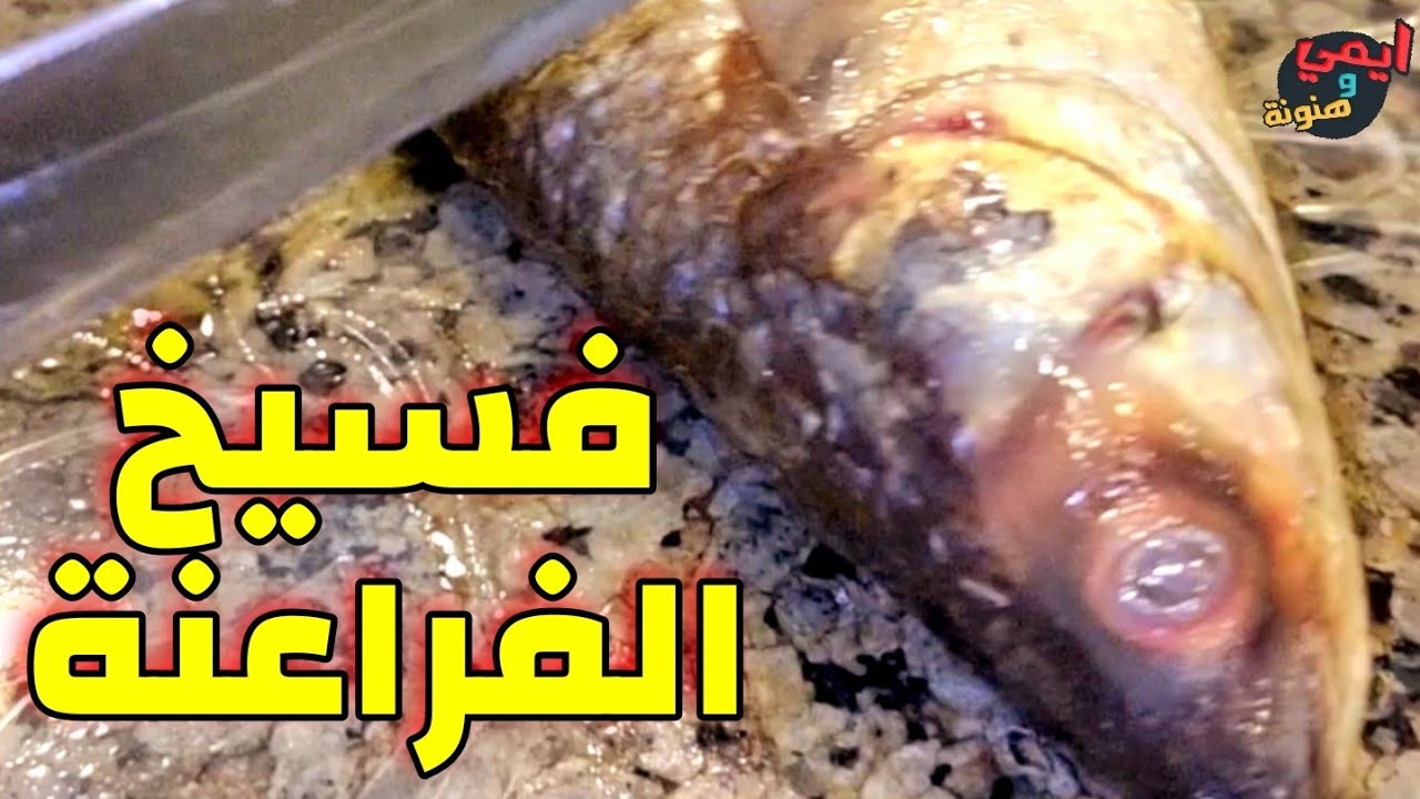 طريقة الفراعنة في خلي الفسيخ