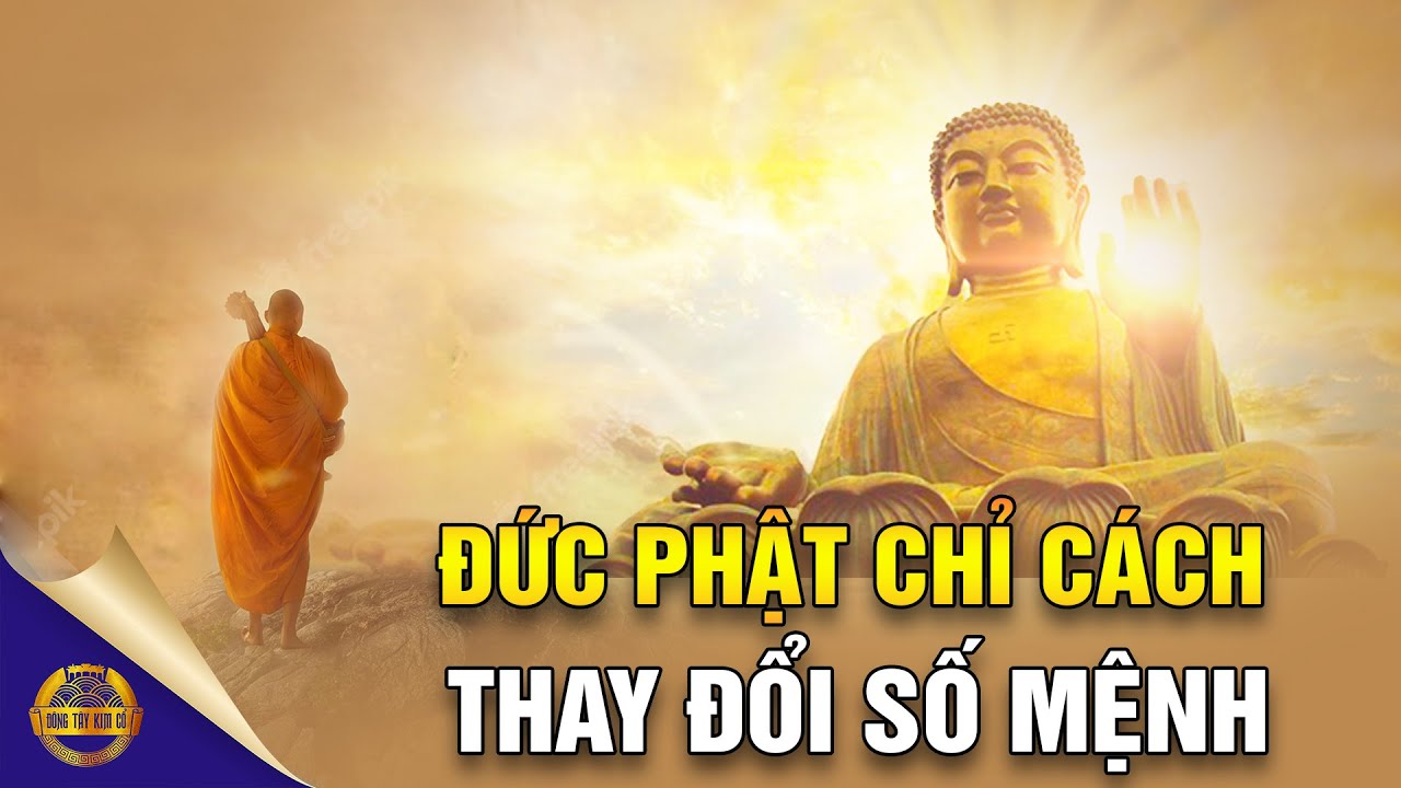 Đức Phật Dạy Phương Pháp Thay Đổi Số Phận Vô Cùng Đơn Giản - Đông Tây Kim Cổ