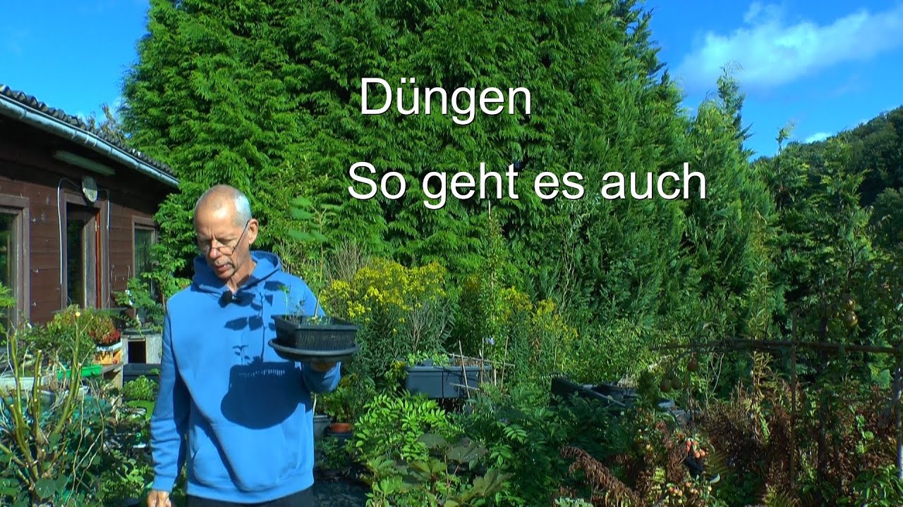 Düngen der Pflanzen Topfpflanzen und Bonsai Neu Nachgedacht und ausprobiert Das Ergebnis