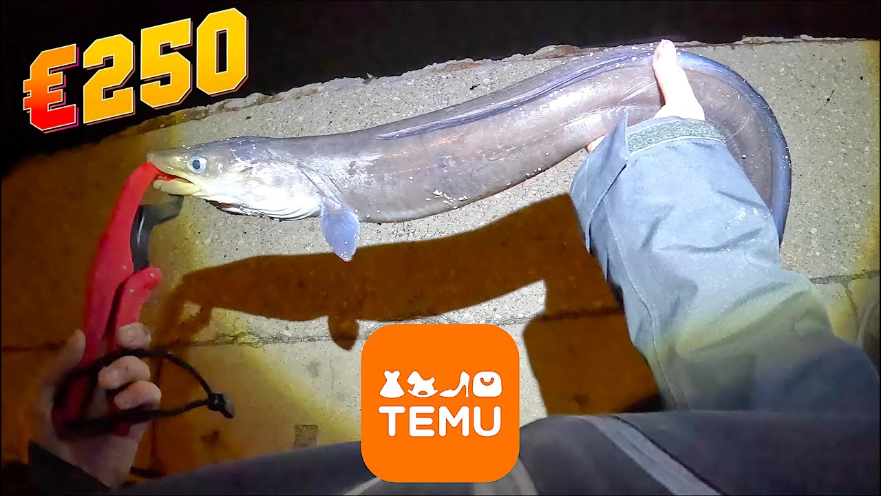 Pesca a Fondo in Inverno! Cosa ho ordinato da Temu con 250 Euro? Grossi Pesci e BIG dell'Anno!