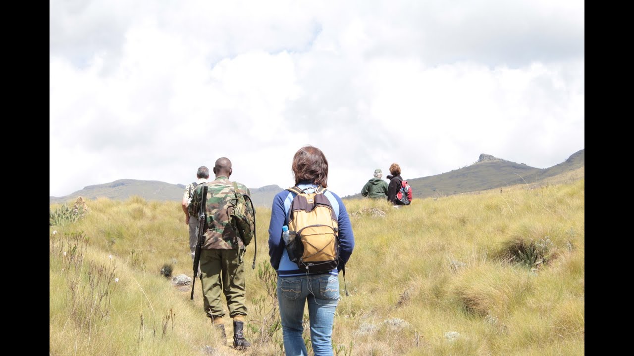 Hike Le Satima 4001m (13126 feet ), Aberdare National Park, Kenya