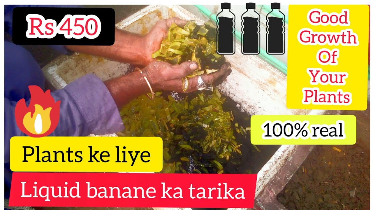 Plants ke liye liquid banane ka tarika//plant ki achi growth ke liye ye kaun sa fertilizer use Karen