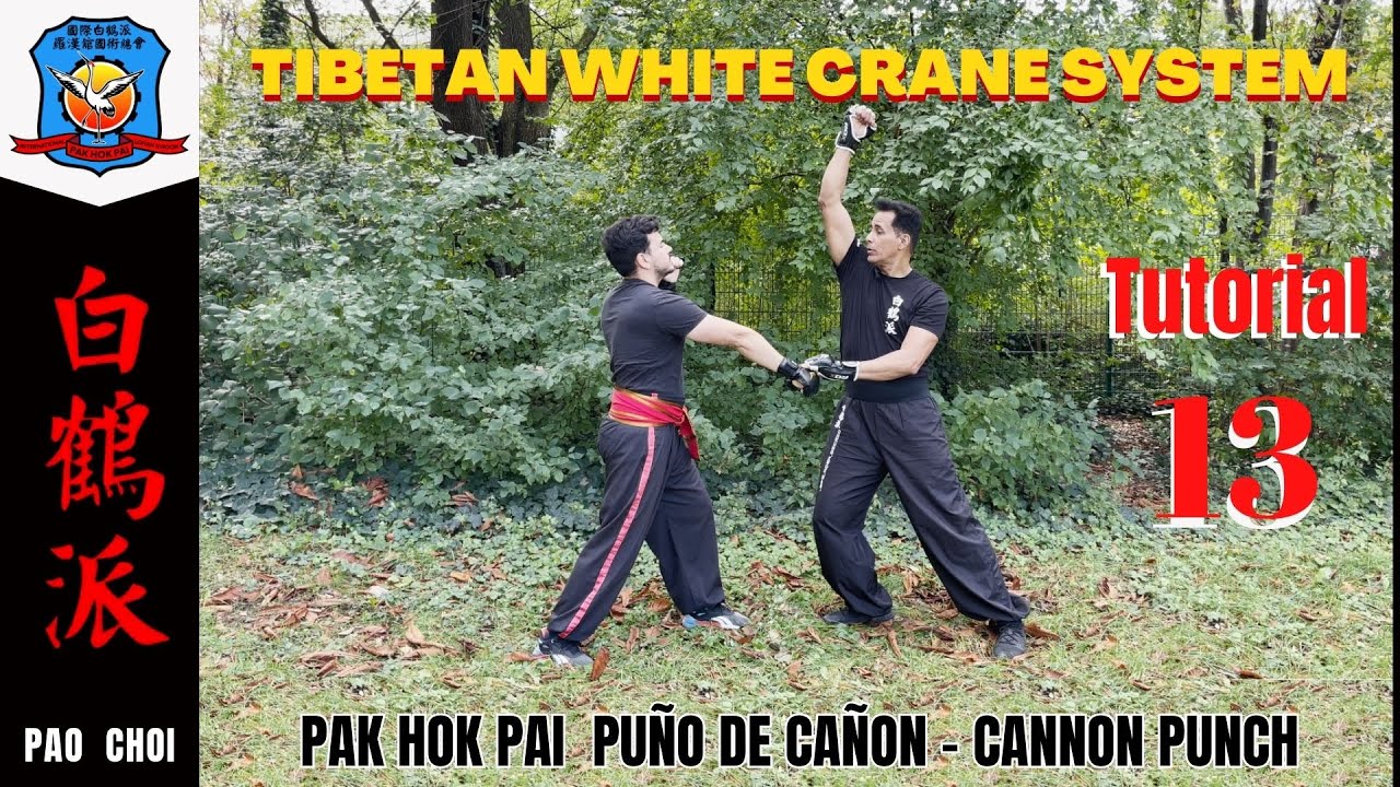 PAK HOK PAI PUÑO DE CAÑON | TIBETAN WHITE CRANE | GRULLA BLANCA | LION ROAR | LAMA KUNG FU| 白鶴派