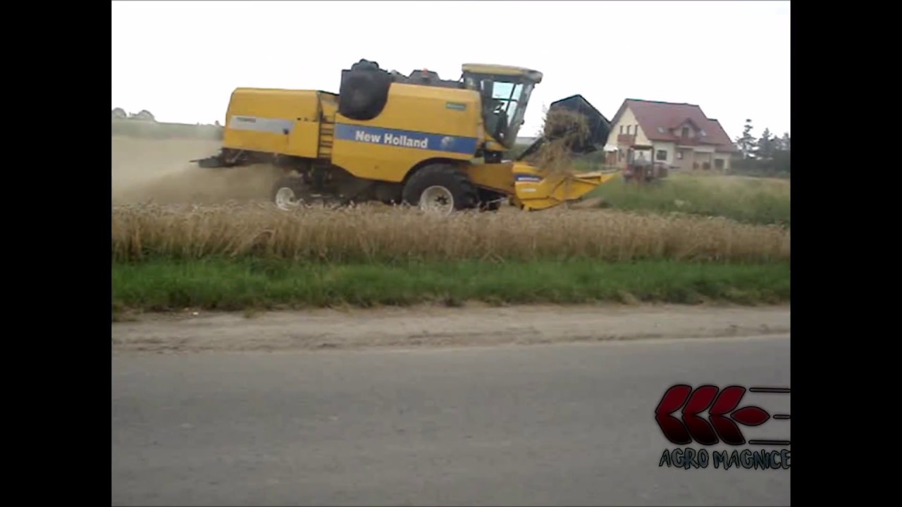 Żniwa Pszenicy New Holland tc 5050 Mtz 82 (Gorsza Jakoś CZYTAJ OPIS FILMU)