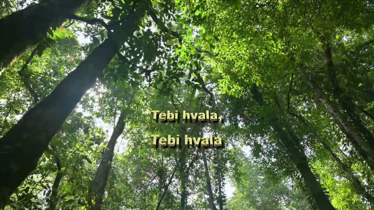 Anja - Tebi hvala