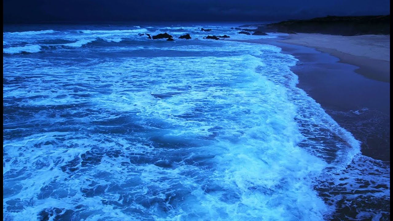 SEA WAVES DURING YOUR LEISURE TIME 🌊😴Gentle Ocean Sounds for Sleeping